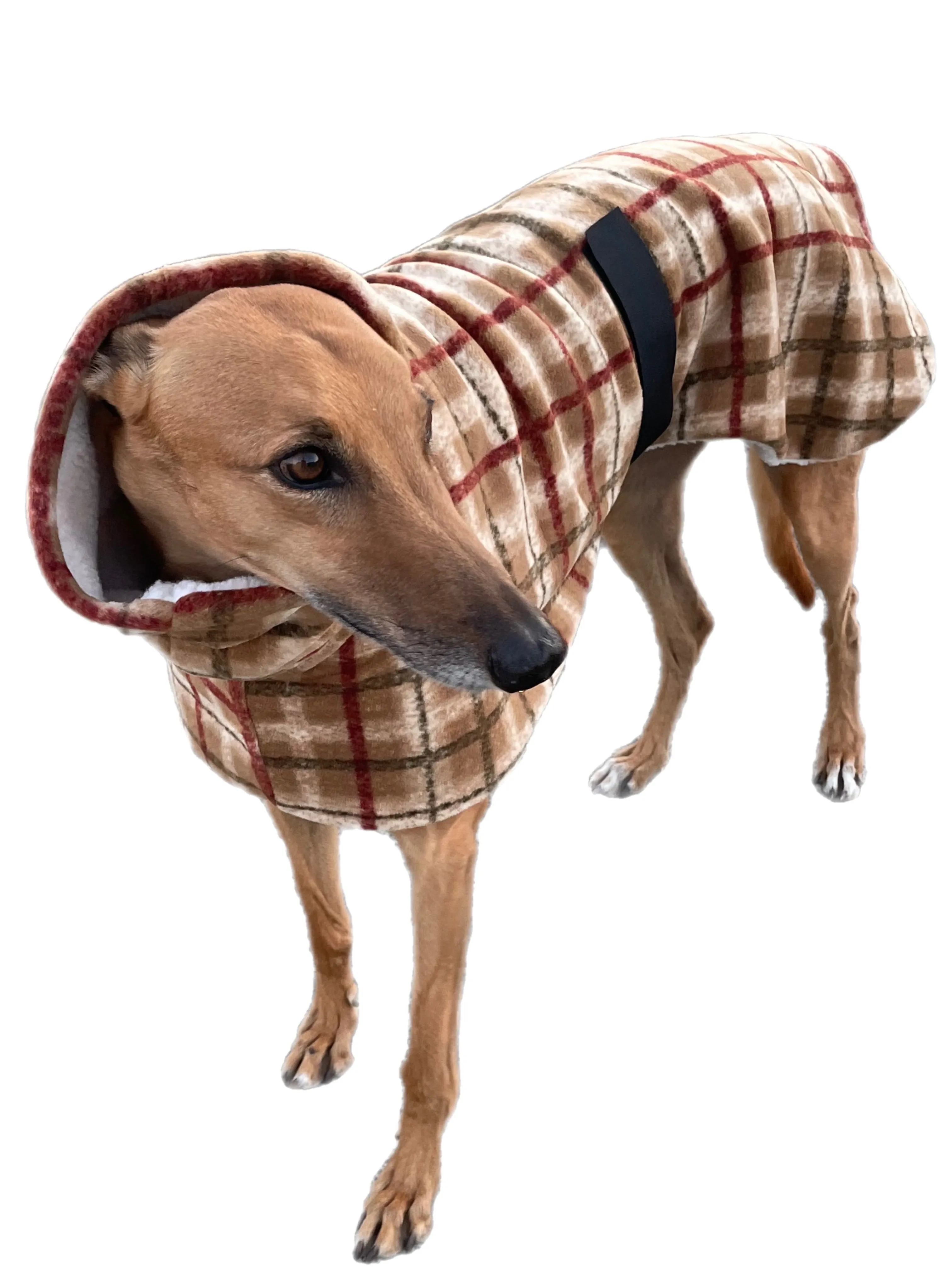 Tan Lumberjack Greyhound coat in deluxe style rug flanno check polar fleece washable extra wide neck